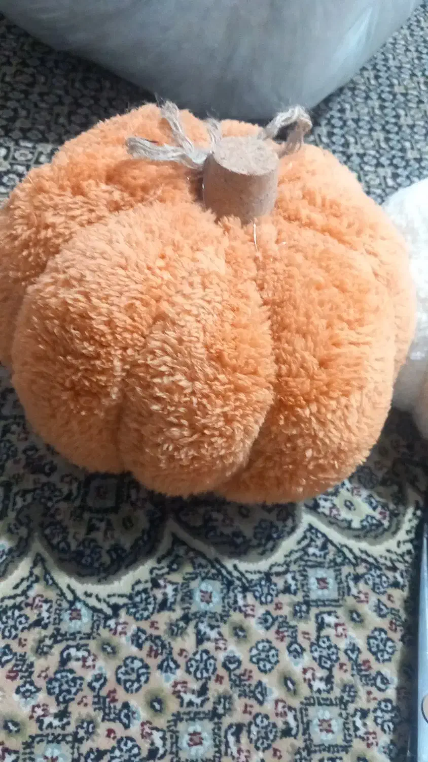 کدو تدی عروسک|اسباب‌‌بازی|ری, سیزده آبان|دیوار