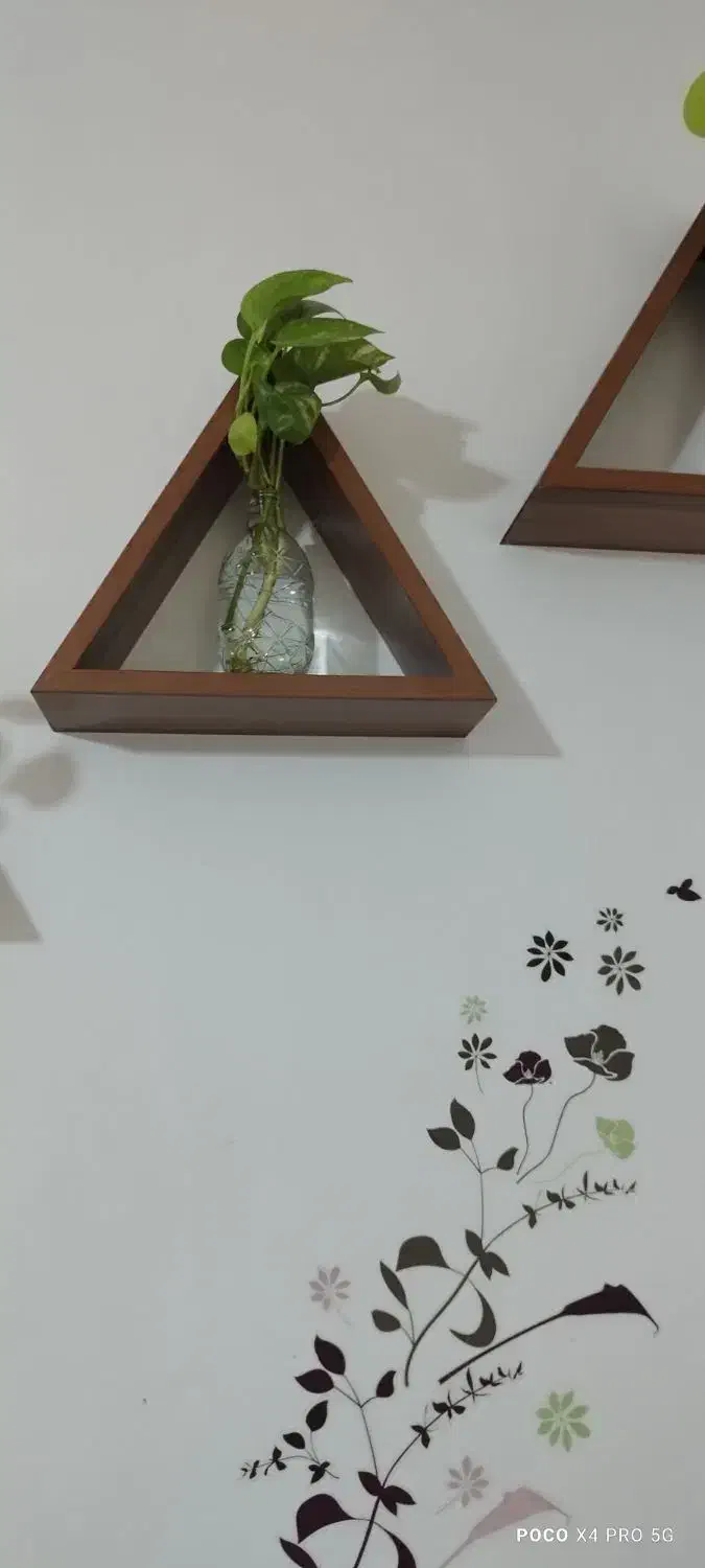 باکس۳تایی|کتابخانه، شلف، قفسههای دیواری|تهران, شوش|دیوار