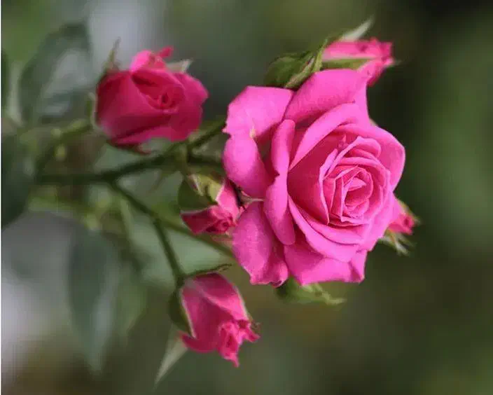 پاورپوینت. مقاله. تایپ ویس|خدمات رایانهای و موبایل|قم, باجک دو|دیوار