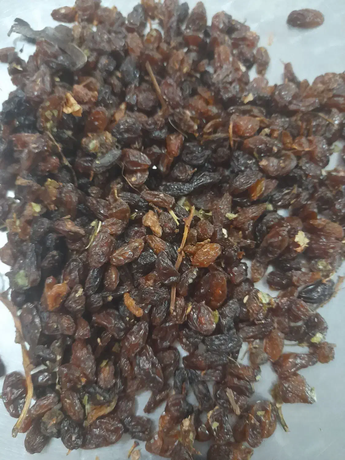 گله و کشمش آفتابی|خوردنی و آشامیدنی|کاشمر, |دیوار