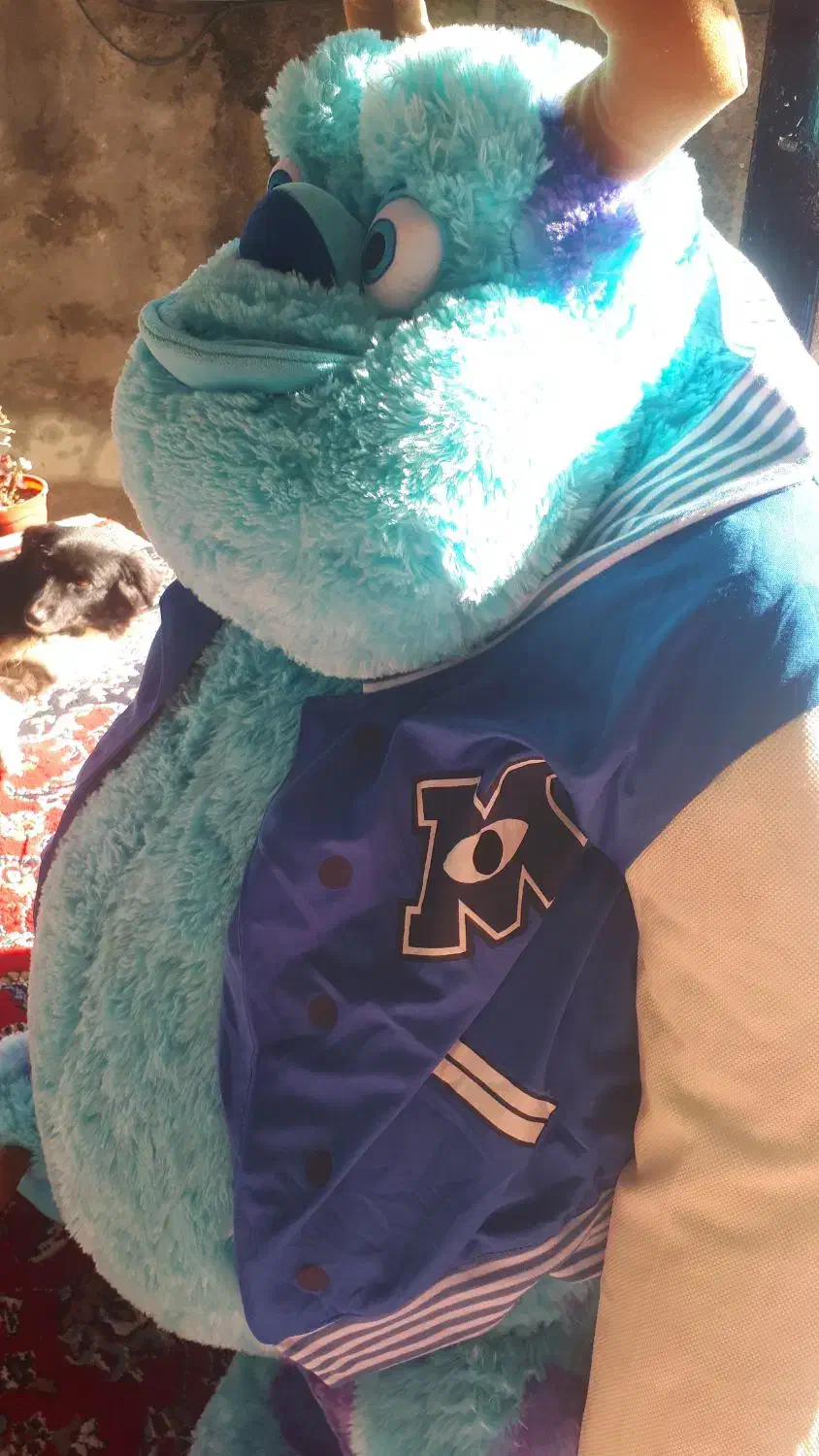 عروسک سالیوان|اسباب‌‌بازی|لشت نشا, |دیوار