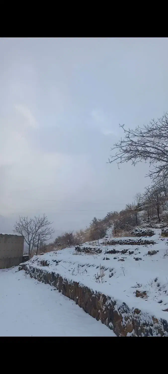 زمین شمشک دربندسر|فروش زمین و ملک کلنگی|تهران, شهرک امیرالمومنین|دیوار