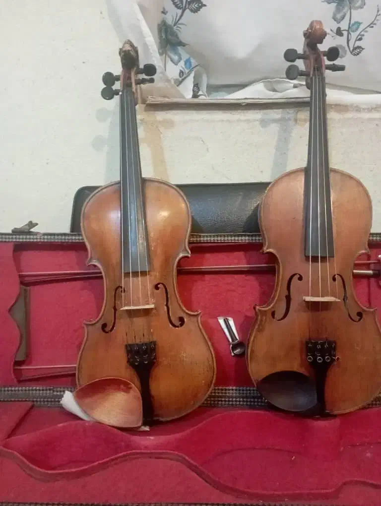 ویولن فروشی|ویولن|اصفهان, ملک‌شهر|دیوار