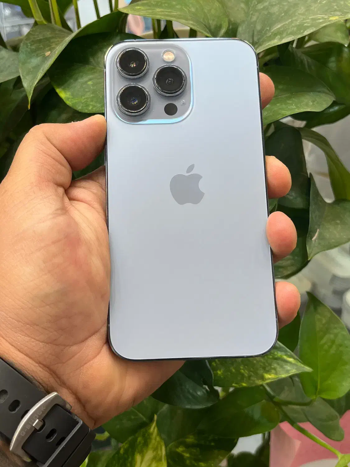 Iphone 13pro LLa|موبایل|شیراز, زند|دیوار