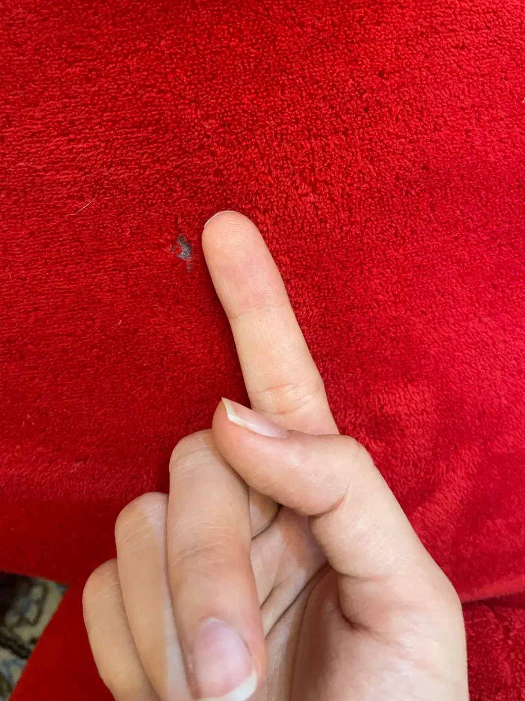 خرس قرمز دومتری|اسباببازی|تهران, اختیاریه|دیوار