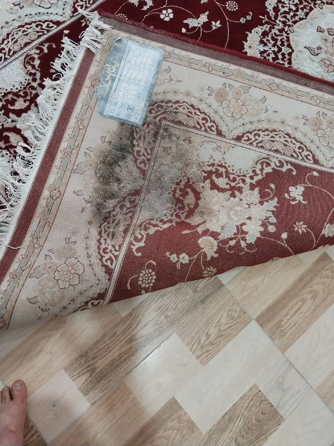 فرش ۶ متری|فرش|رستم‌آباد, |دیوار