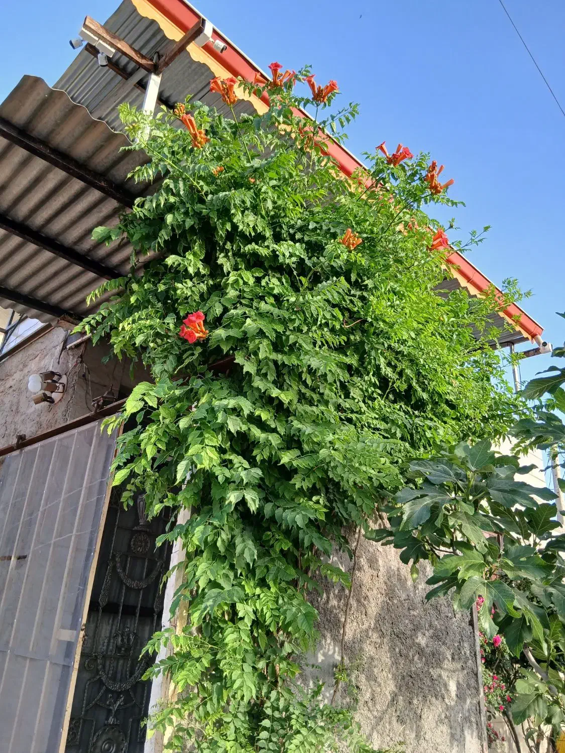 خانه ویلایی در شهرک ایثار گران خ سمنان|فروش خانه و ویلا|منجیل, |دیوار