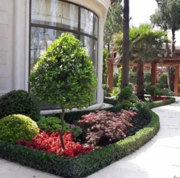 خدمات باغبانی گلکاری کاشت گل درختکاری باغچه کاری|خدمات باغبانی و درختکاری|سنندج, |دیوار