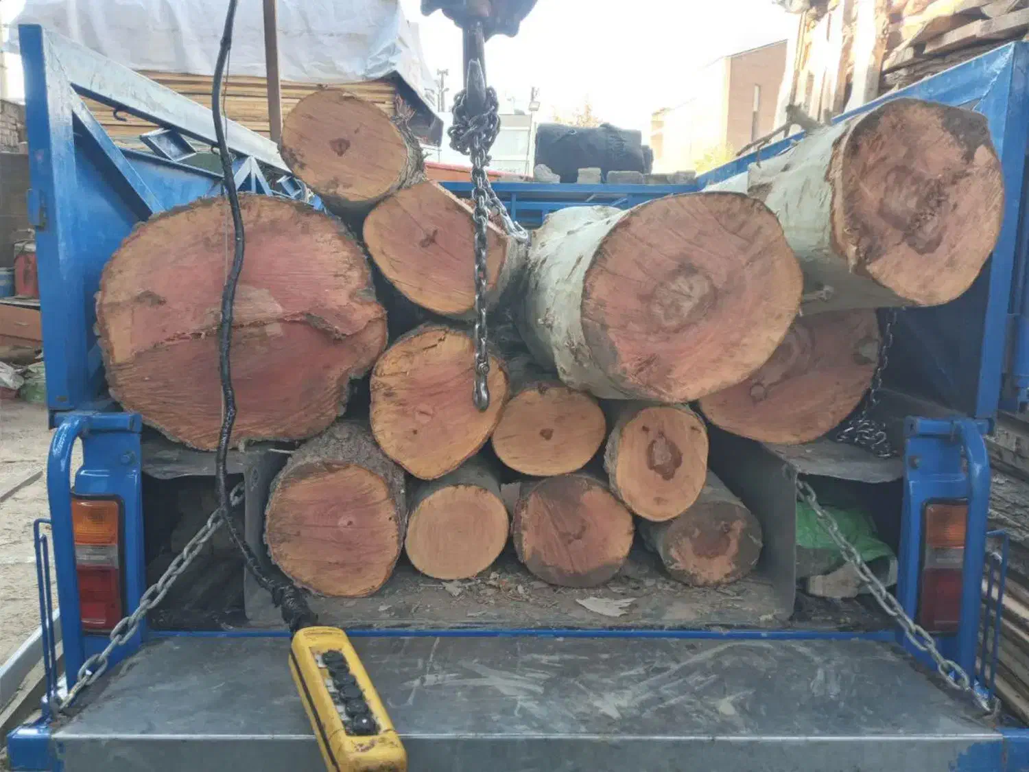 برش درخت خریدار چوب تسویه نقدی|خدمات باغبانی و درختکاری|ورامین, ورامین|دیوار