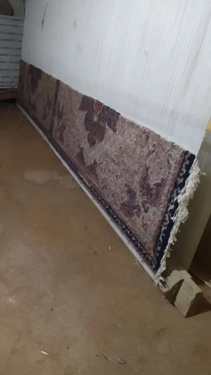 قالی ۳×۴|فرش|سلماس, |دیوار