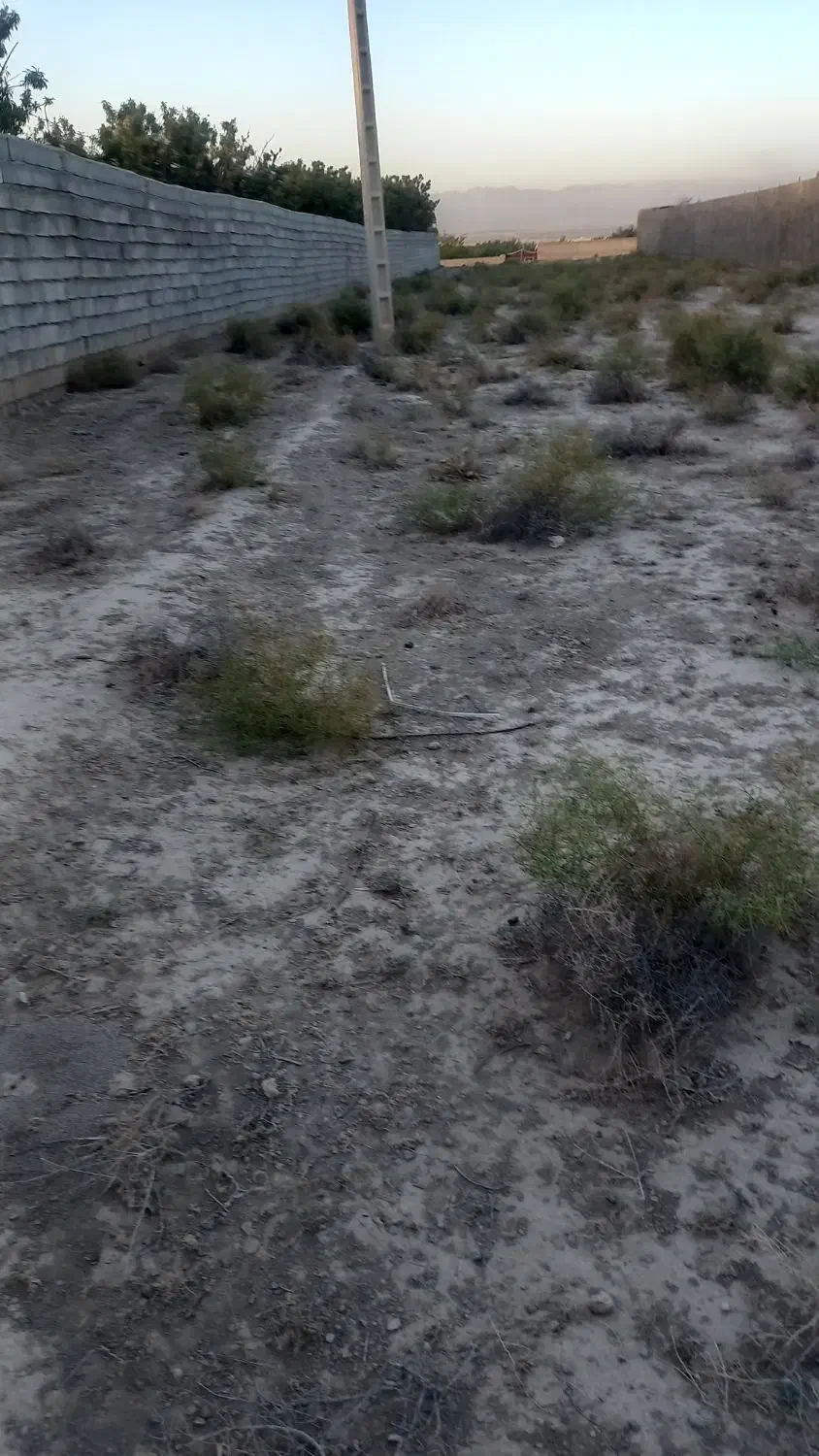 ۱۸۵۰متر زمین مناسب باغ سوله گلخانه وغیره بازمرگان|فروش خانه و ویلا|مشهد, میان ولایت|دیوار