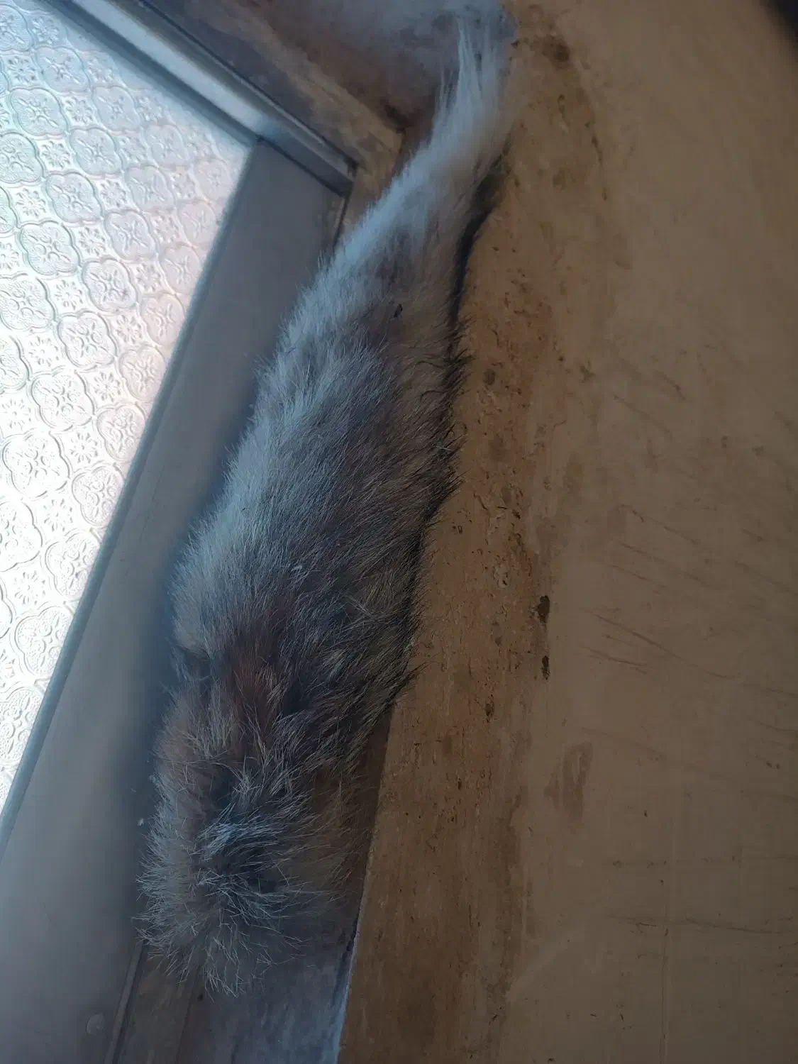 آویز برای ماشین|قطعات یدکی و لوازم جانبی|خسروشاه, |دیوار