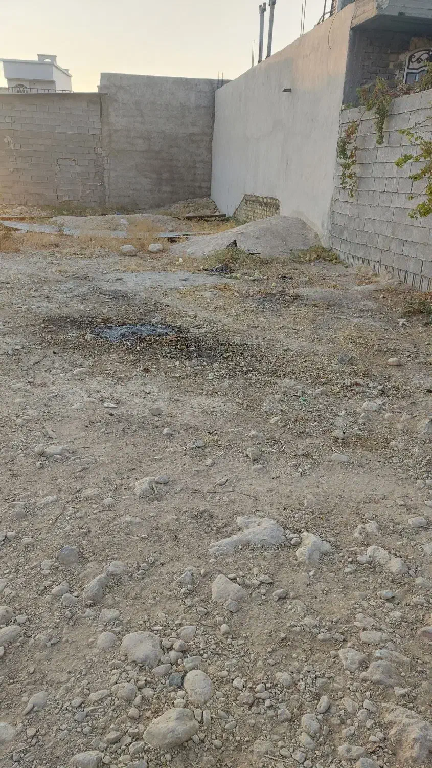 زمین در زرین اباد|فروش زمین و ملک کلنگی|کازرون, |دیوار