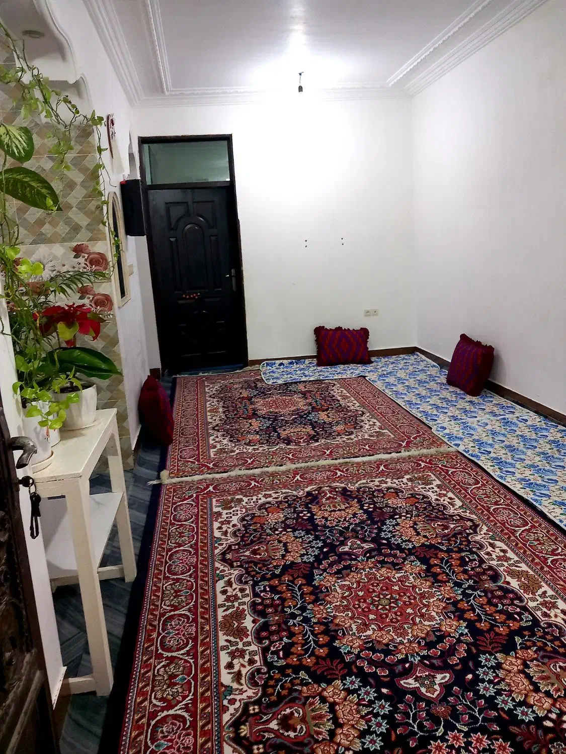 خانه اجاره ای|اجارهٔ خانه و ویلا|جم, |دیوار