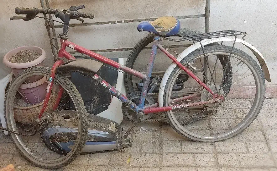 دوچرخه۲۴|دوچرخه، اسکیت، اسکوتر|مشهد, مهدی آباد (بلوار توس)|دیوار