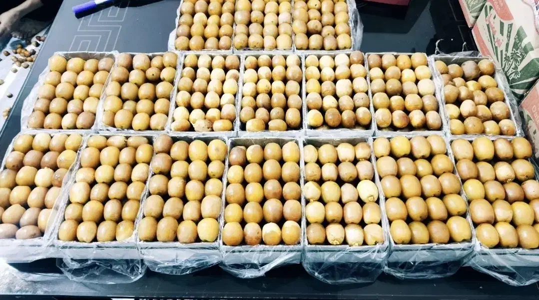 خرما|خوردنی و آشامیدنی|تهران, بازار|دیوار