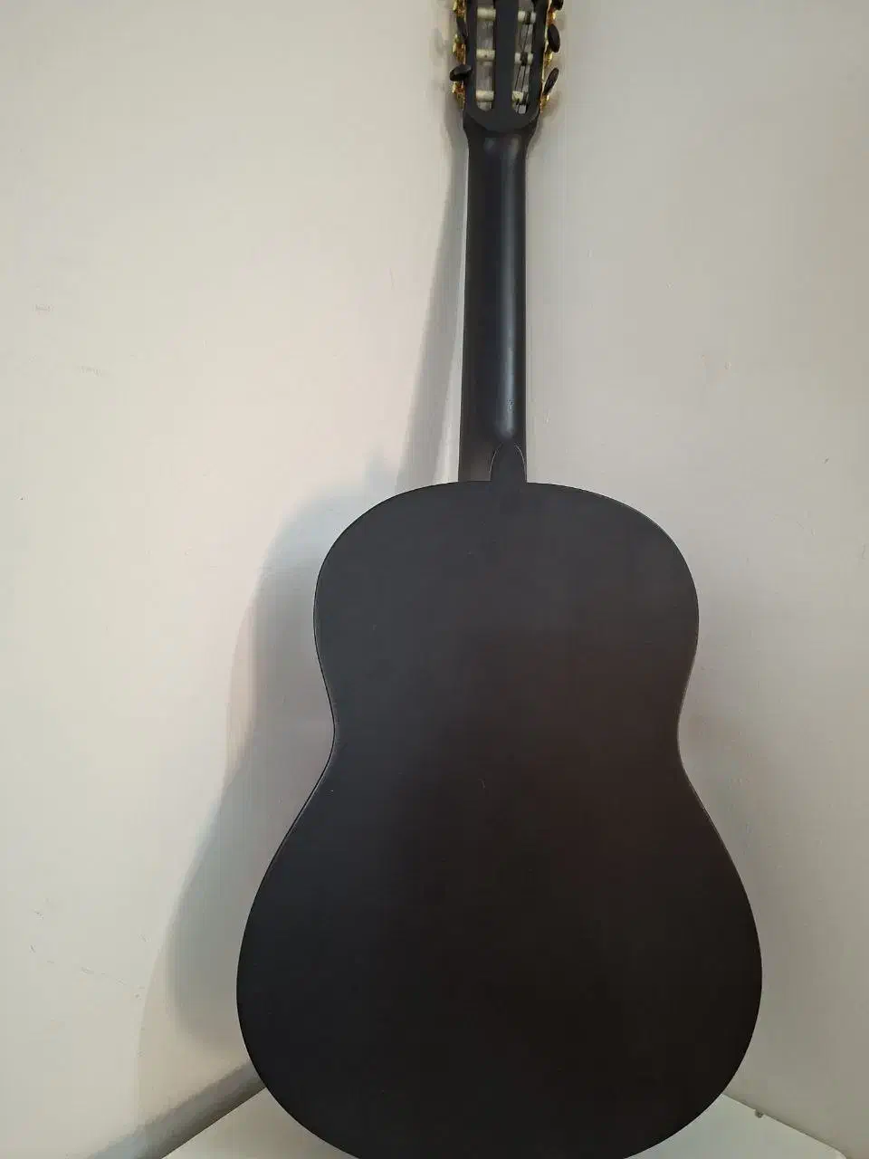 گیتار|گیتار، بیس، امپلیفایر|مشهد, نوید|دیوار