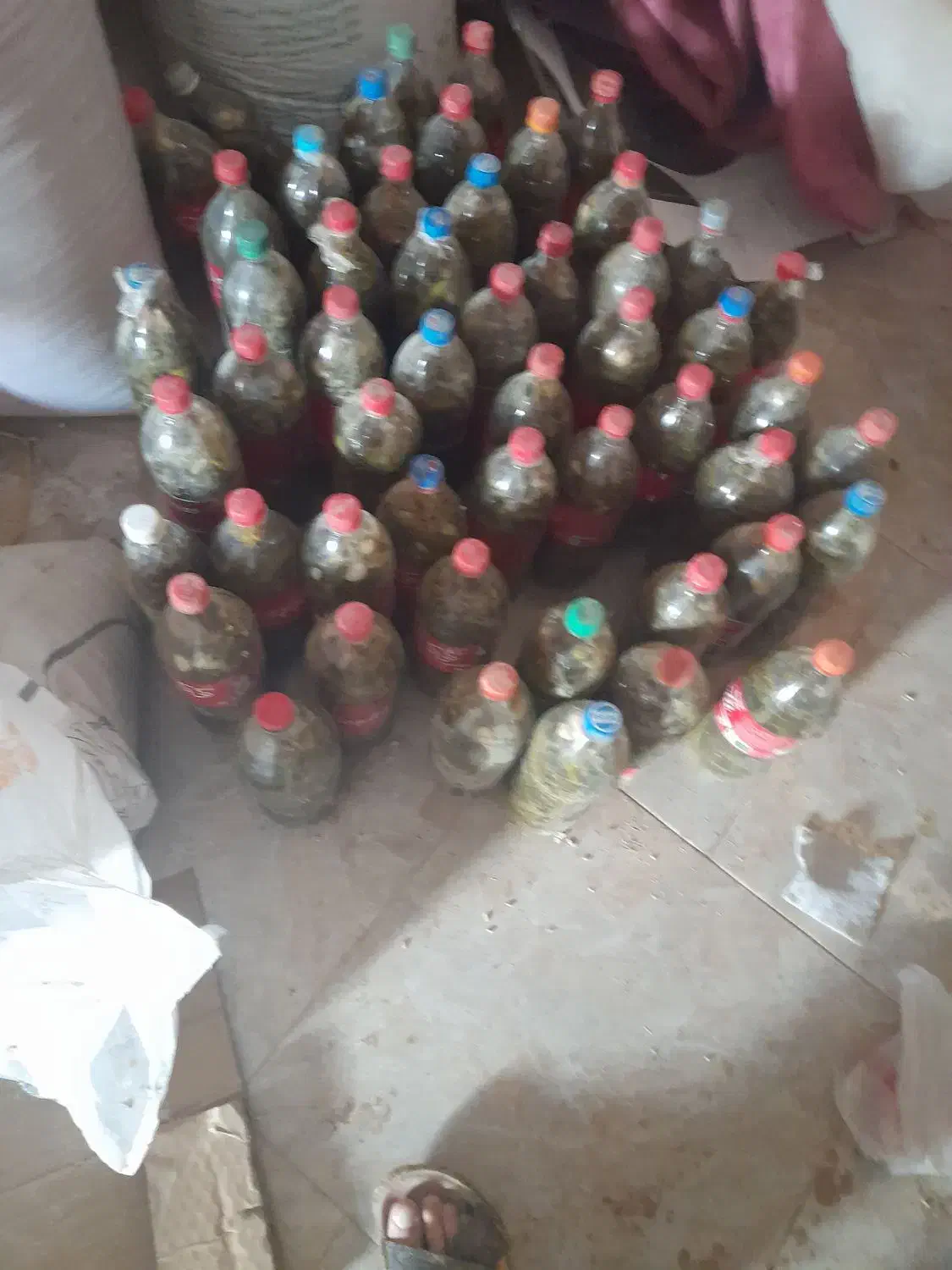 خیارشور|خوردنی و آشامیدنی|سردرود, |دیوار