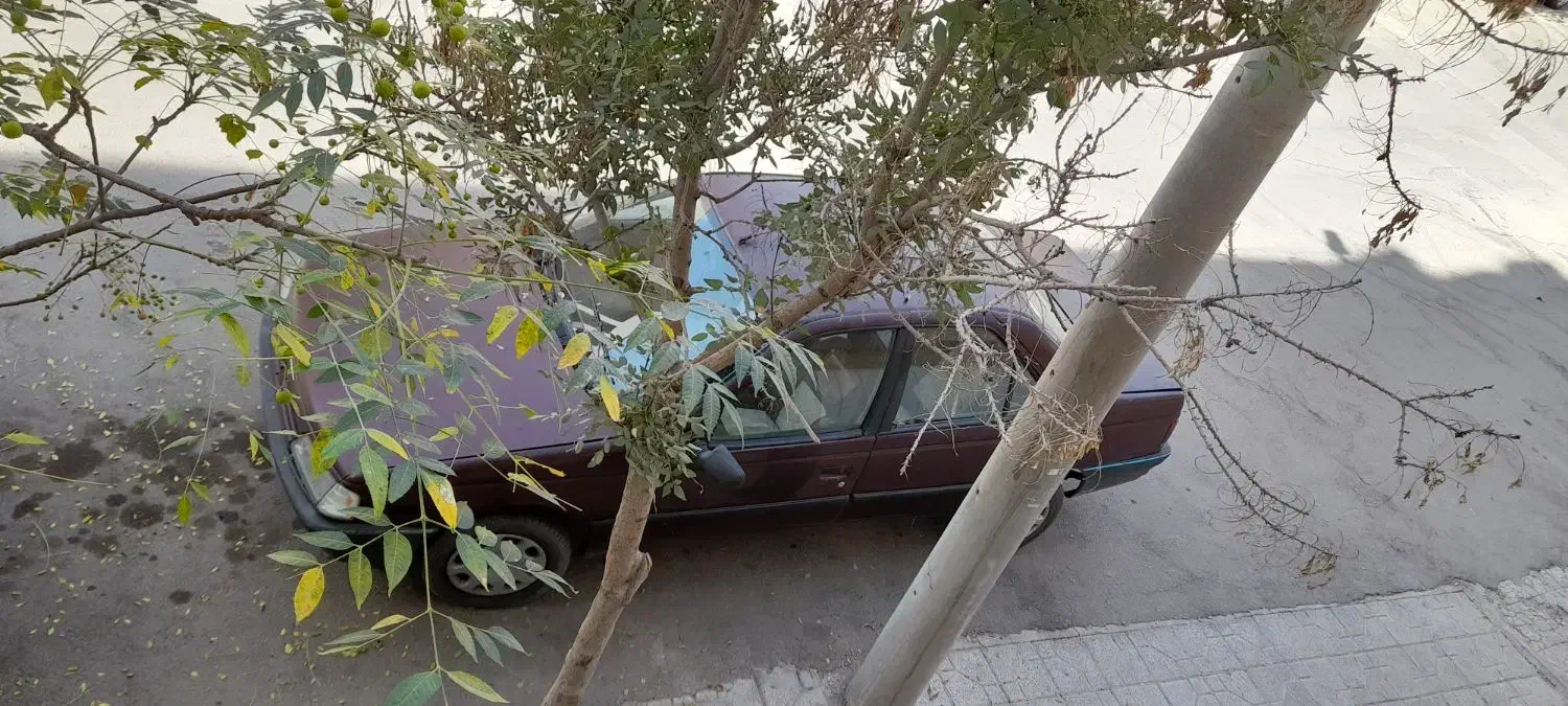 پژو ۲۰۰۰ مدل ۸۱ تقویت قابل معاوضه با تصادفی|خودرو سواری و وانت|اصفهان, عسگریه|دیوار