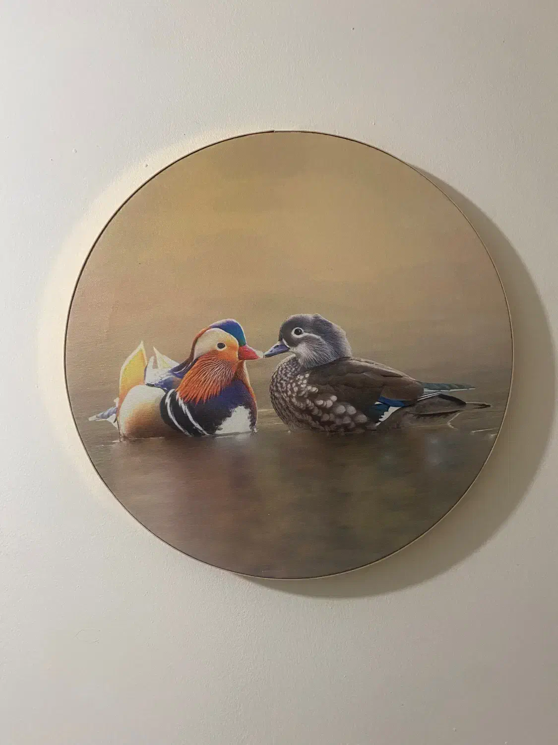 تابلو دکوراتیو ۴۰*۶۰|تابلو، نقاشی، عکس|آمل, |دیوار