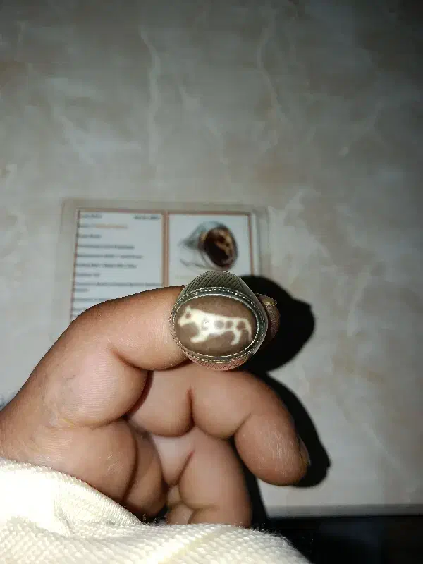 انگشتر مصور|جواهرات|سقز, |دیوار