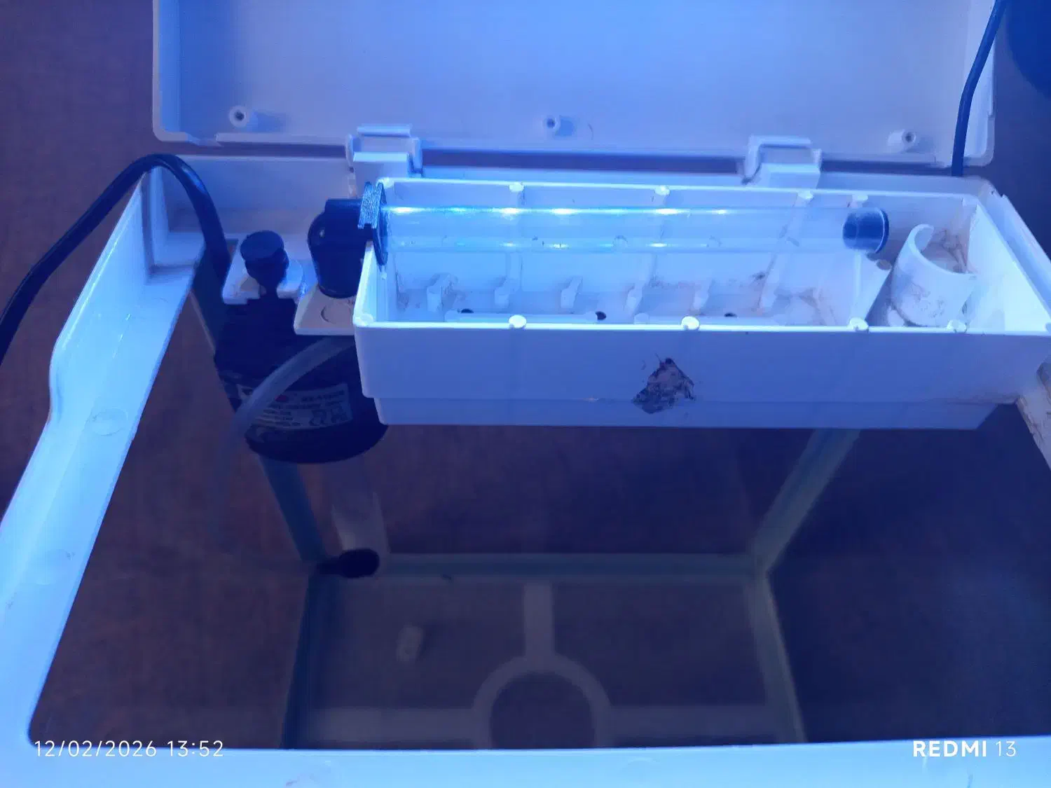 آکواریوم|ماهی|خرم‌آباد, |دیوار