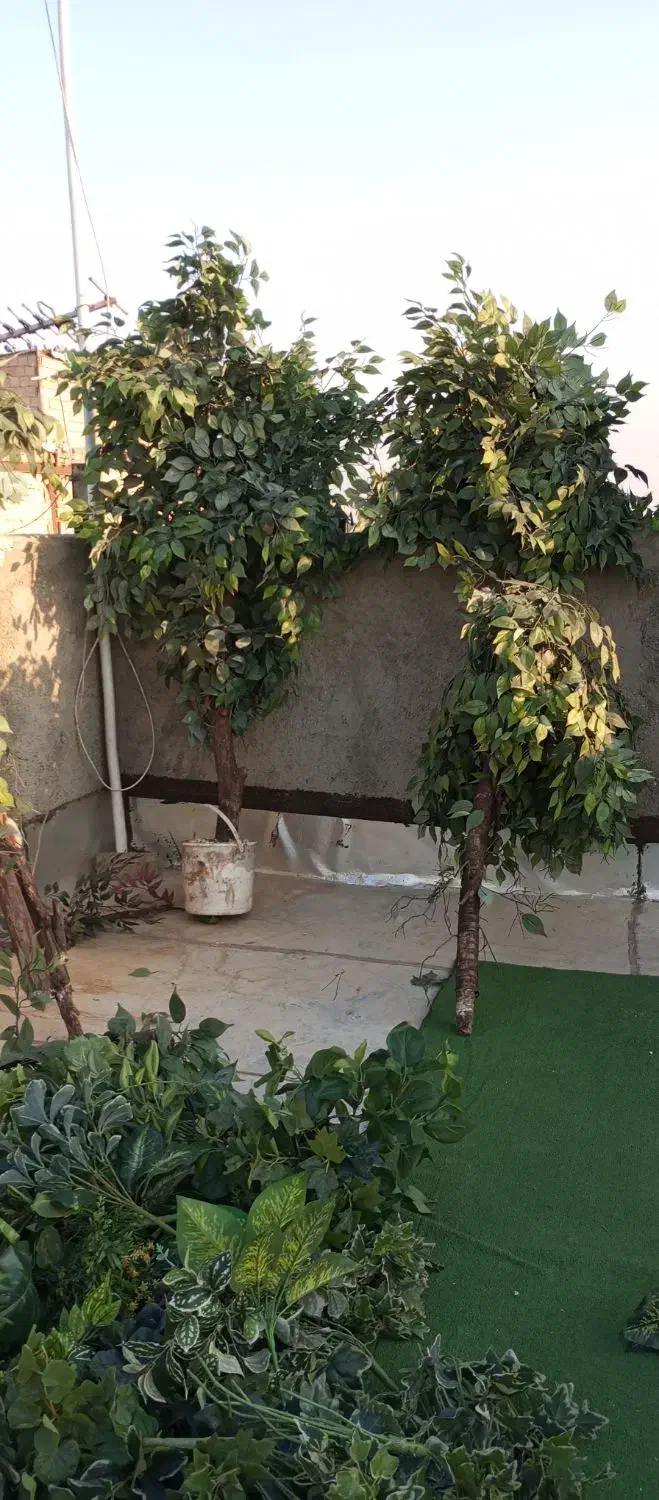 درختچه مصنوعی|گل مصنوعی|بهارستان, |دیوار