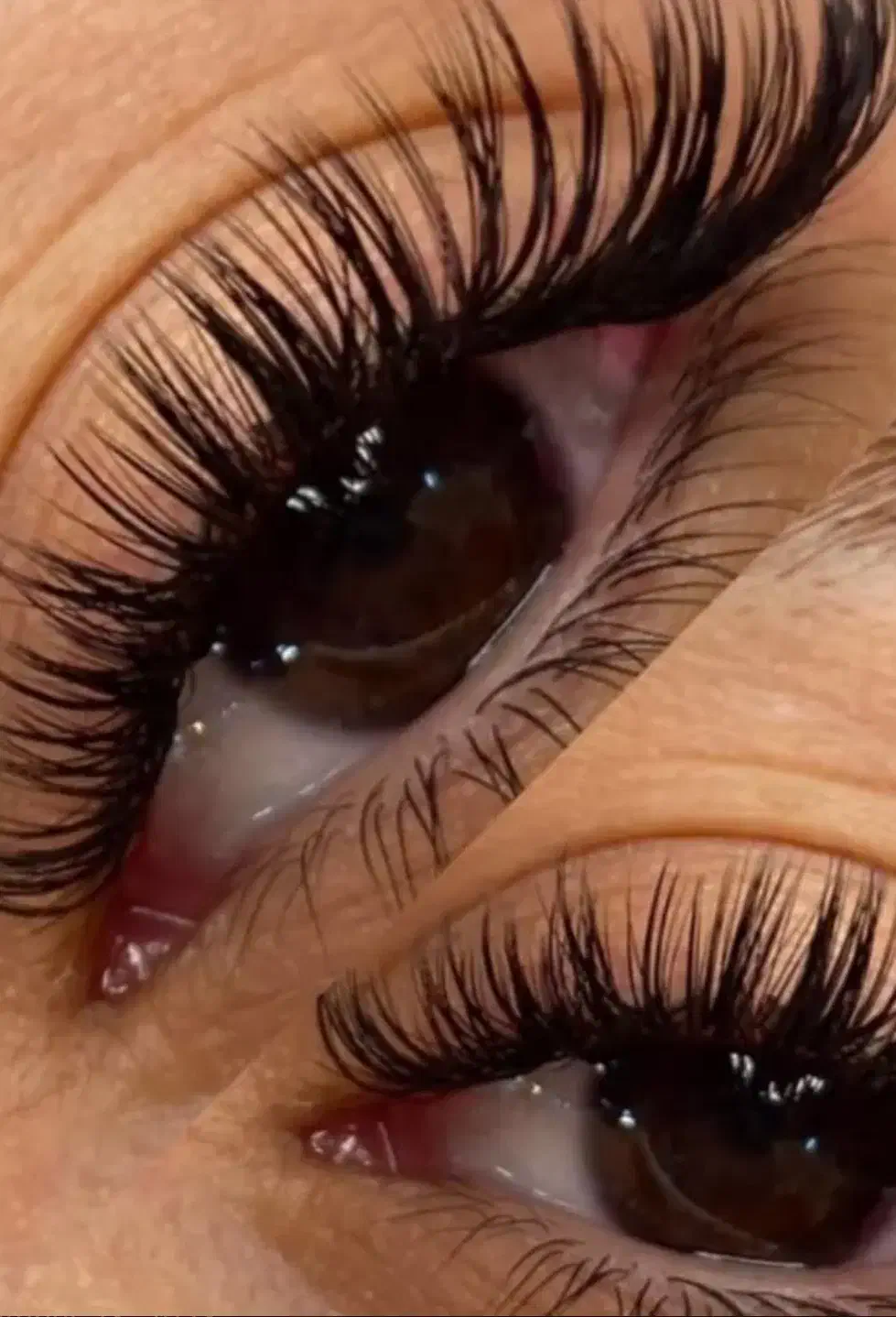 آف کاشت دائم مژه ۲۵۰ و ۴۵۰|خدمات آرایشگری و زیبایی|رشت, رودباری|دیوار