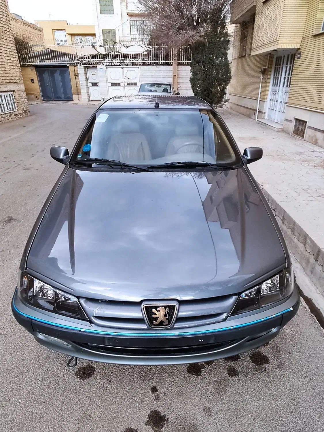 پژوپارس Elx دلفینی تمام فابریک|خودرو سواری و وانت|شیراز, گلشن|دیوار