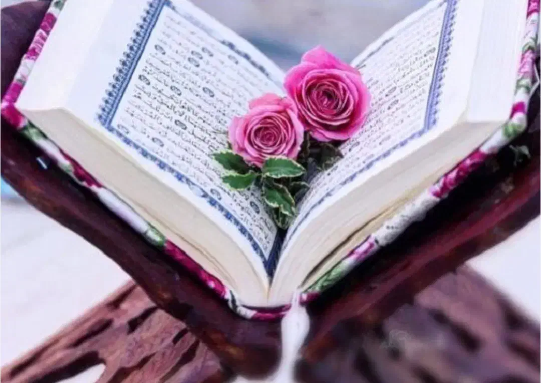 فروش قران کامل برای اموات|کتاب و مجله مذهبی|نظرآباد, رسالت|دیوار