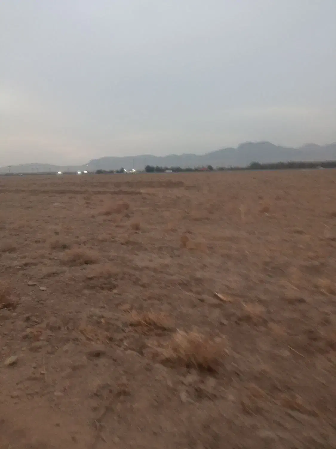 زمین کشاورزی|اجارهٔ دفتر صنعتی، کشاورزی، تجاری|تیران, |دیوار