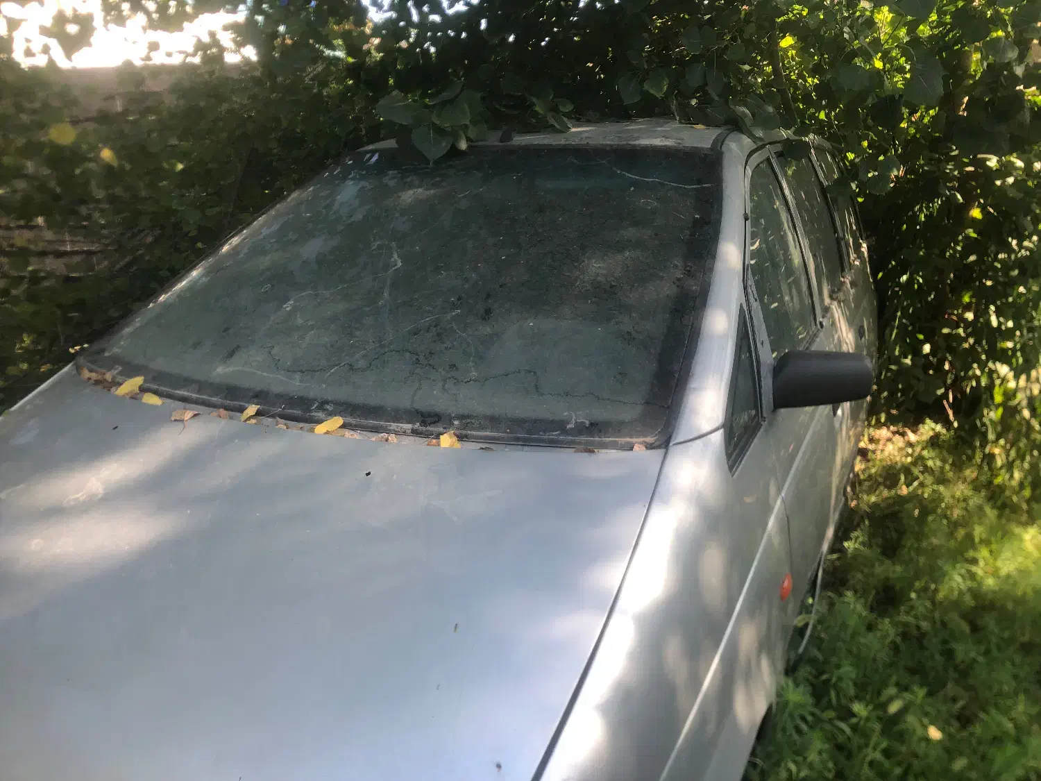 فوروش فوری ون کاروان سایپا|خودرو سواری و وانت|بندر انزلی, آذربایجان|دیوار