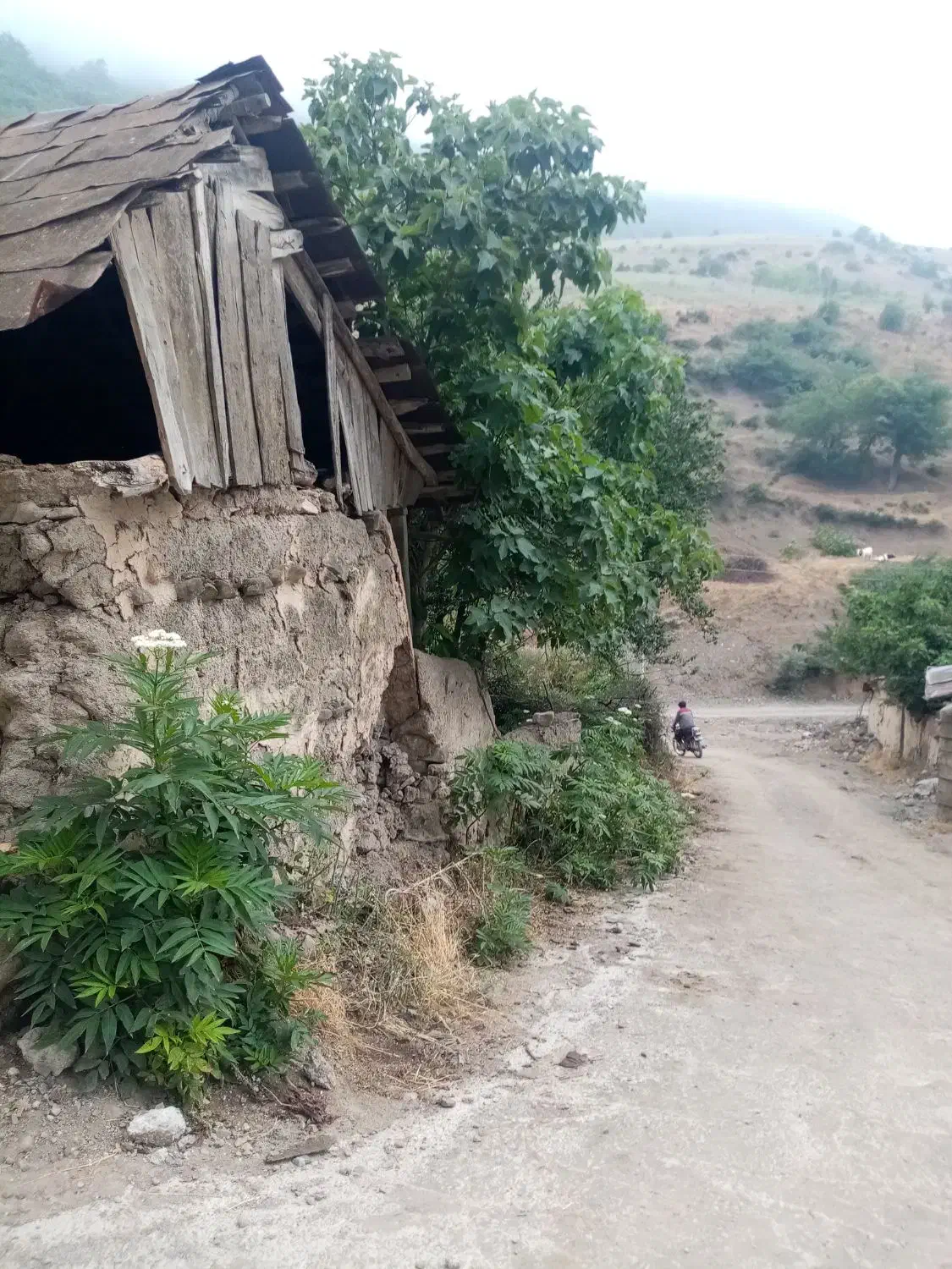 112 متر زمین با خانه کلنگی|فروش زمین و ملک کلنگی|آلاشت, |دیوار