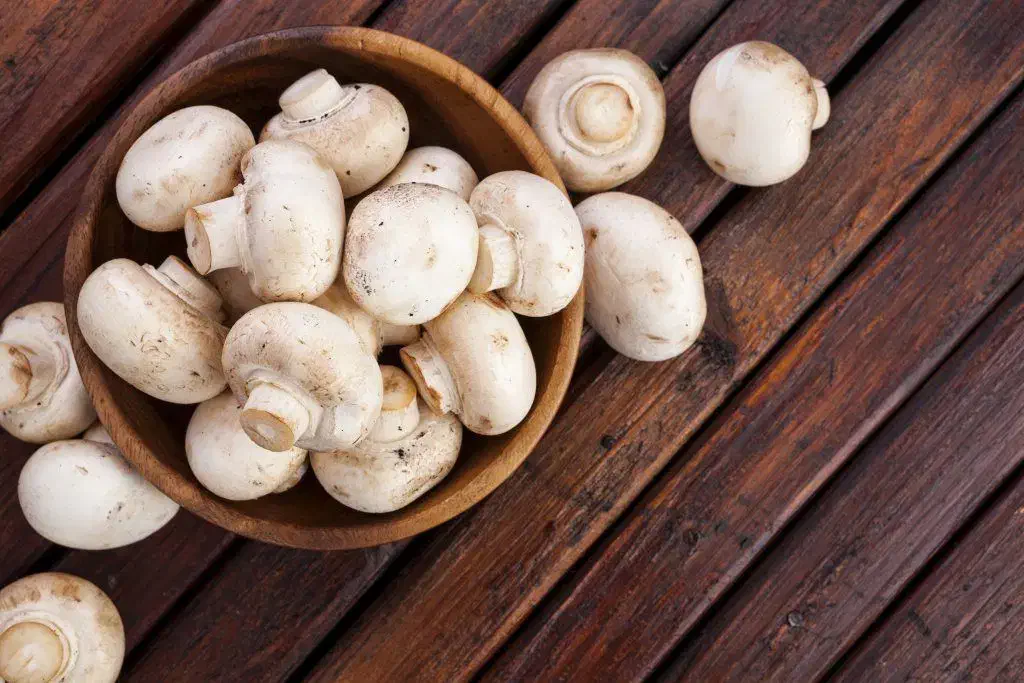 کارگری|استخدام صنعتی، فنی، مهندسی|دزفول, |دیوار