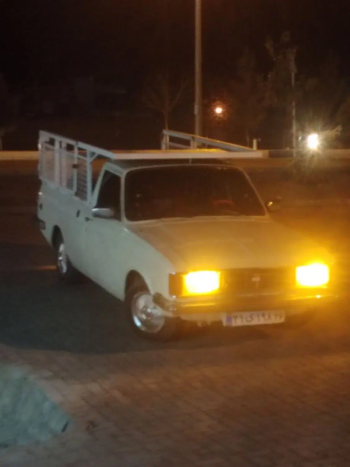 چهار شاخ زنی زعفران باغ...|خدمات باغبانی و درختکاری|تربت جام, میان جام|دیوار