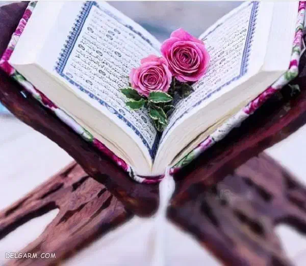 کلاس خصوصی قرآن|خدمات آموزشی|کلاله, |دیوار