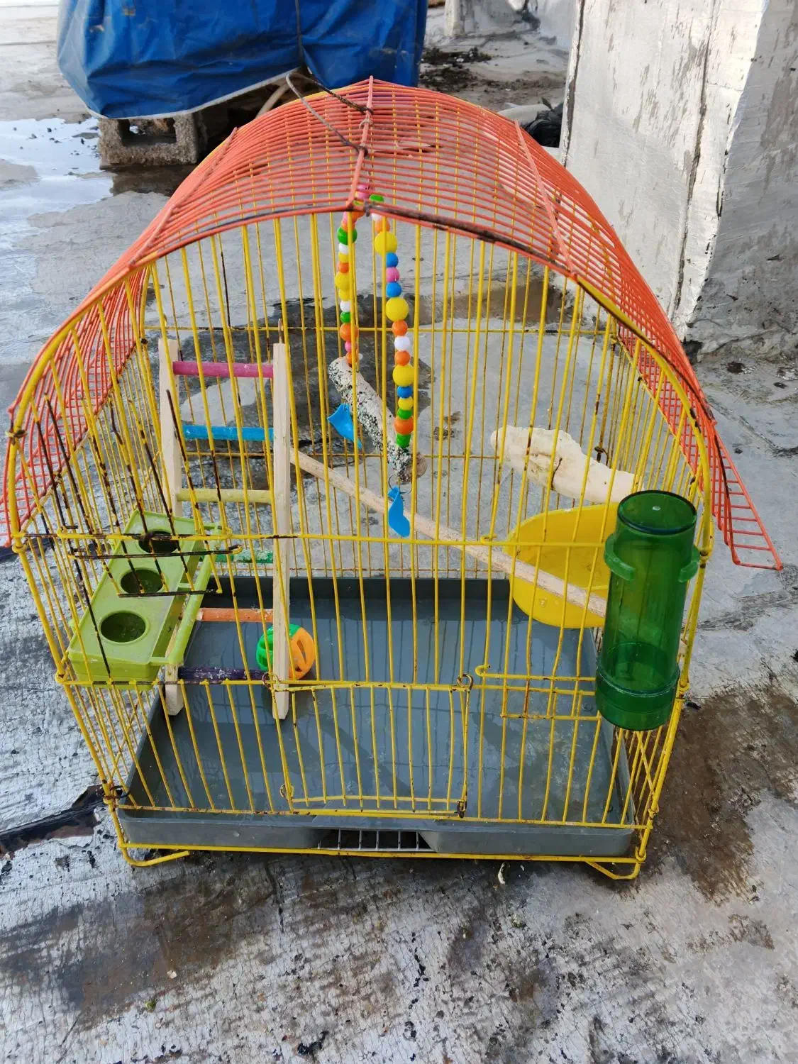 قفس|لوازم جانبی حیوانات|بانه, |دیوار