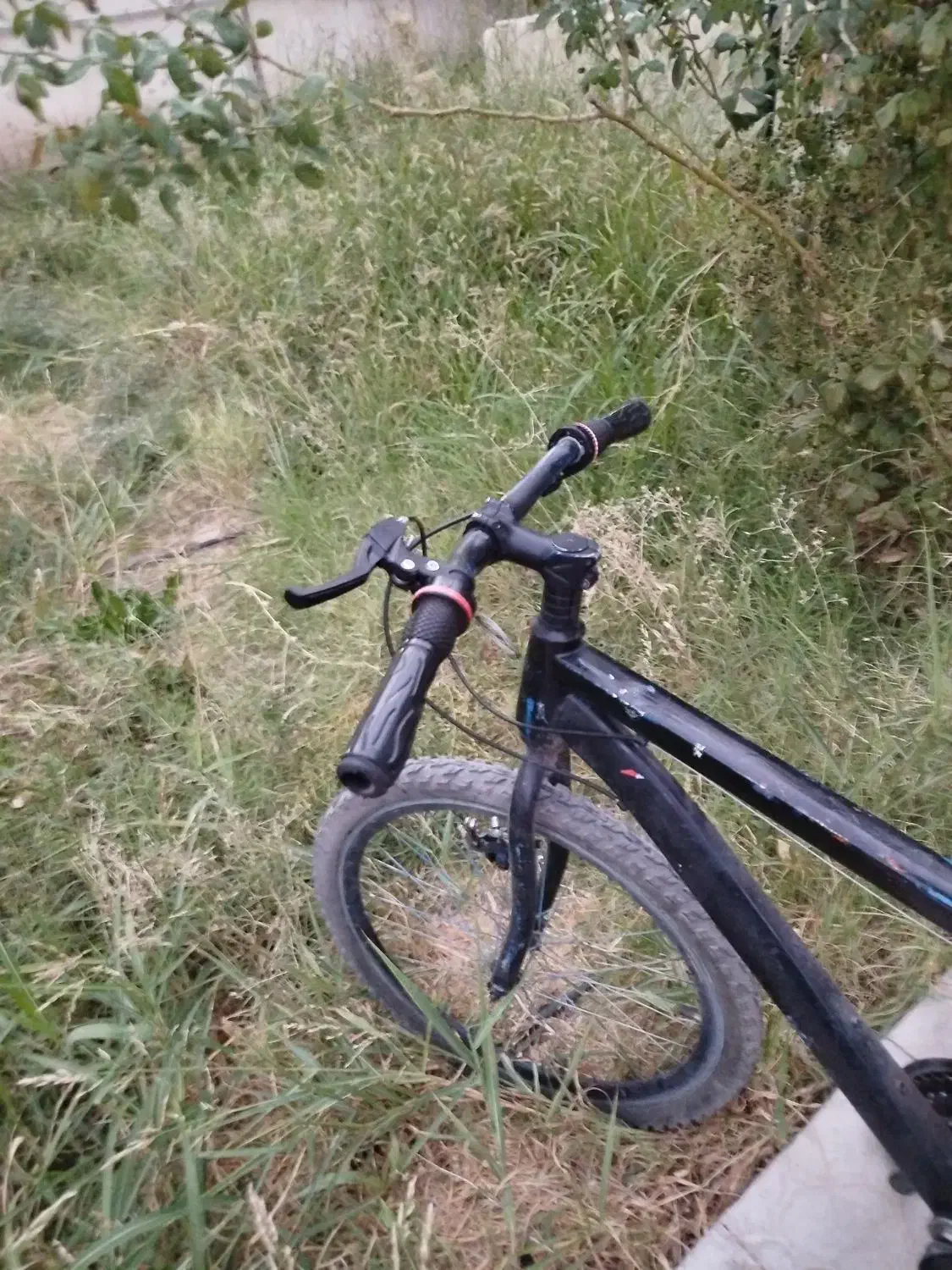 دوچرخه 24|دوچرخه، اسکیت، اسکوتر|بم, |دیوار