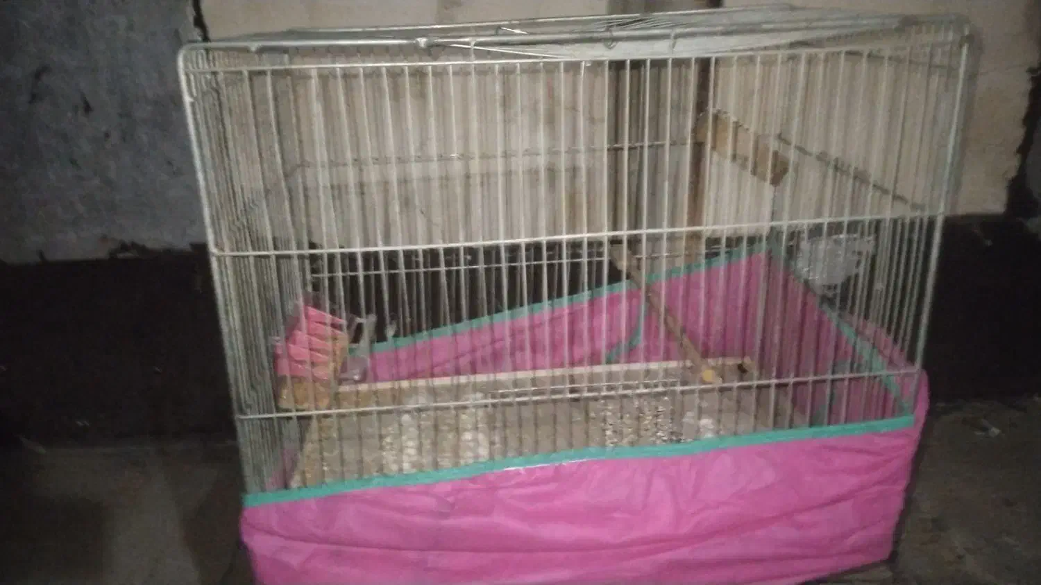 قفس نو|لوازم جانبی حیوانات|بیجار, |دیوار