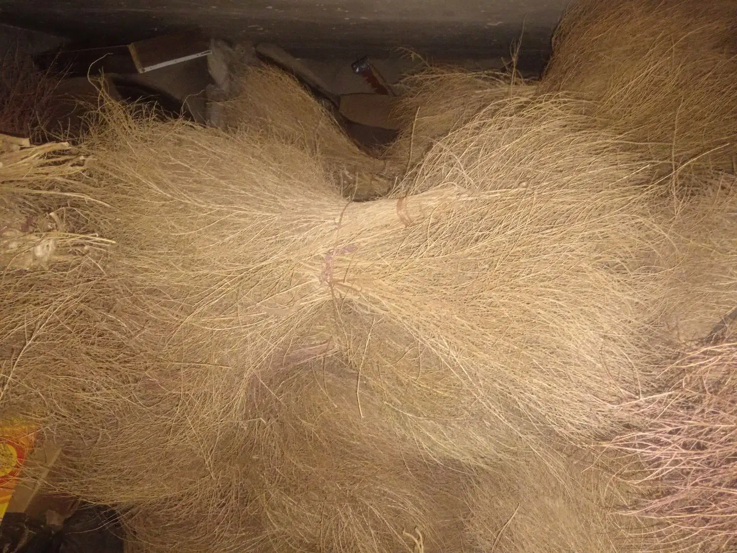 جارو محلی|لوازم نظافت|نیشابور, بنیاد شهید|دیوار