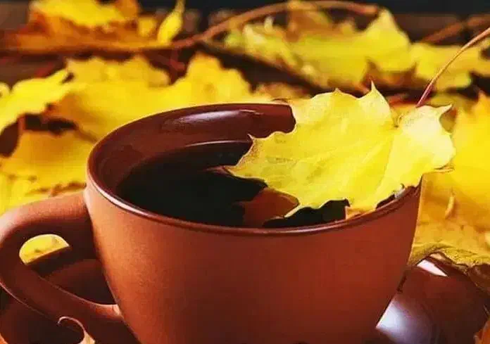 سرگرمی با چوب|کلکسیون و سرگرمی|اسلامشهر, مسکن مهر اسلاشهر (شهرک امام خمینی)|دیوار