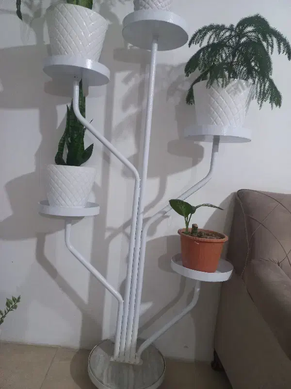 استند گل|کتابخانه، شلف، قفسههای دیواری|زنجان, |دیوار