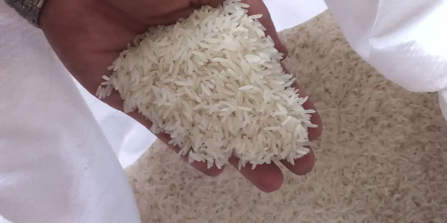 برنج درجه یک گلستان|خوردنی و آشامیدنی|گرگان, |دیوار