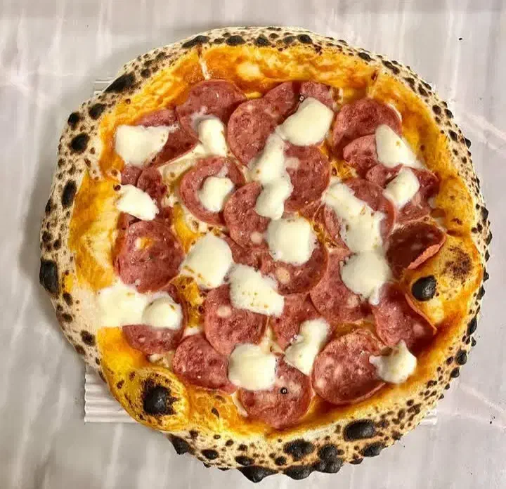 مشاوره و راه اندازی تخصصی پیتزاناپولی|خدمات آموزشی|کرج, فاز ۲ مهرشهر|دیوار