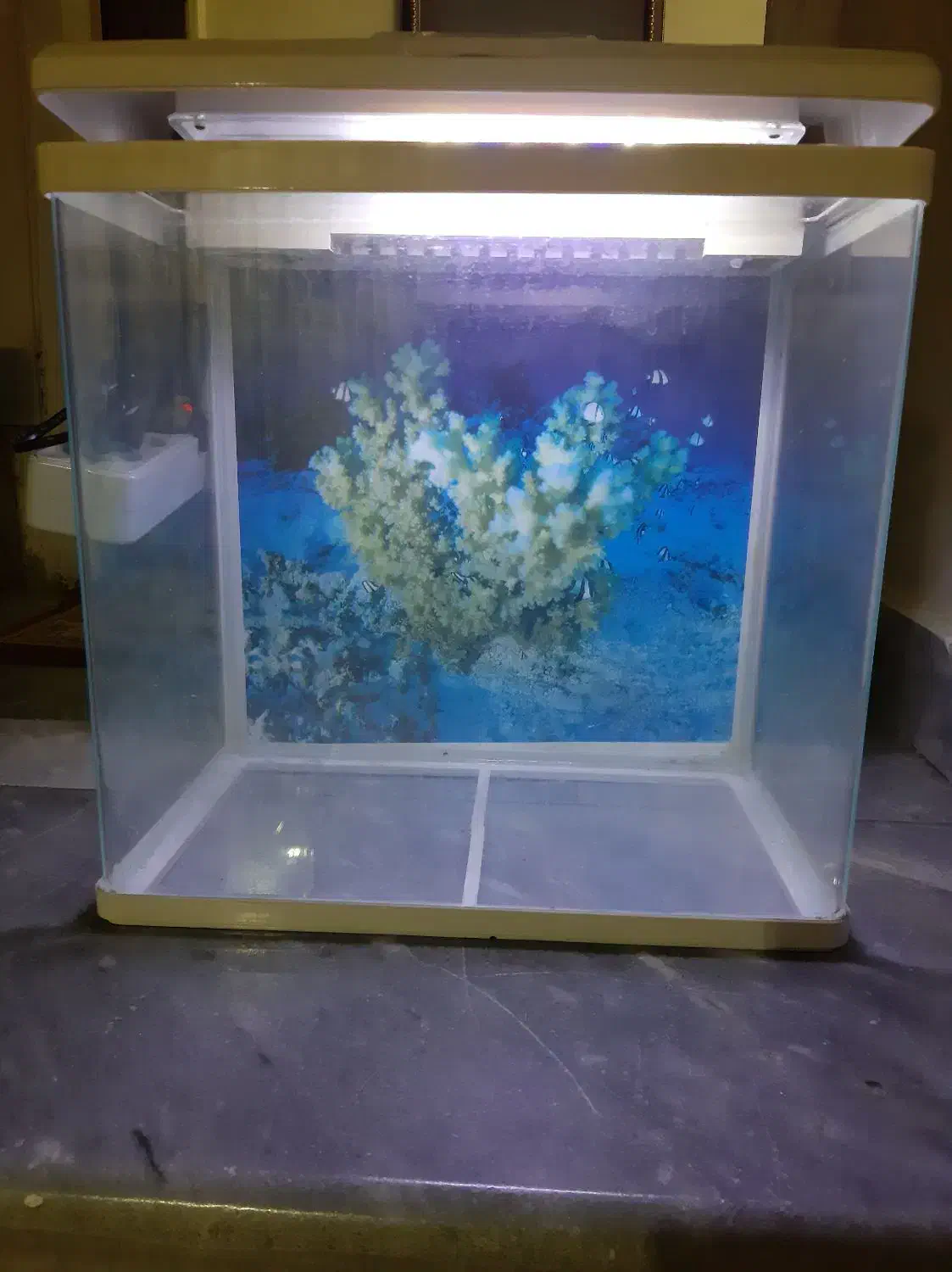 آکواریوم مدل AQ385|ماهی|تهران, افسریه شمالی|دیوار