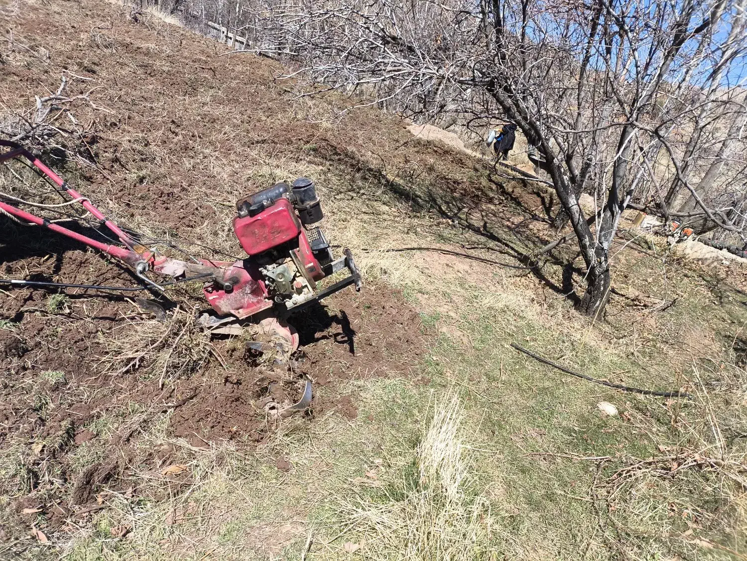 انجام تمامی خدمات باغبانی و فضای سبز ومحوطه|خدمات باغبانی و درختکاری|شیراز, شهرک گلستان|دیوار