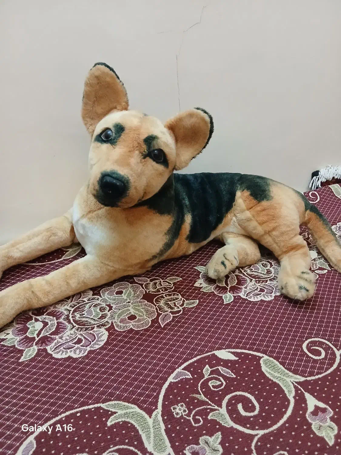 عروسک سگ|اسباب‌‌بازی|تبریز, |دیوار