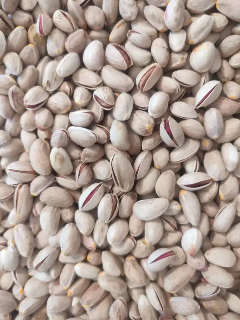 فروش پسته درجه یک|خوردنی و آشامیدنی|شیراز, دست خضر|دیوار