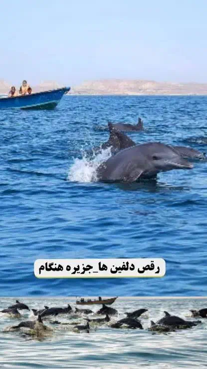 تور تفریحی قشم|تور و چارتر|سبزوار, قائم|دیوار