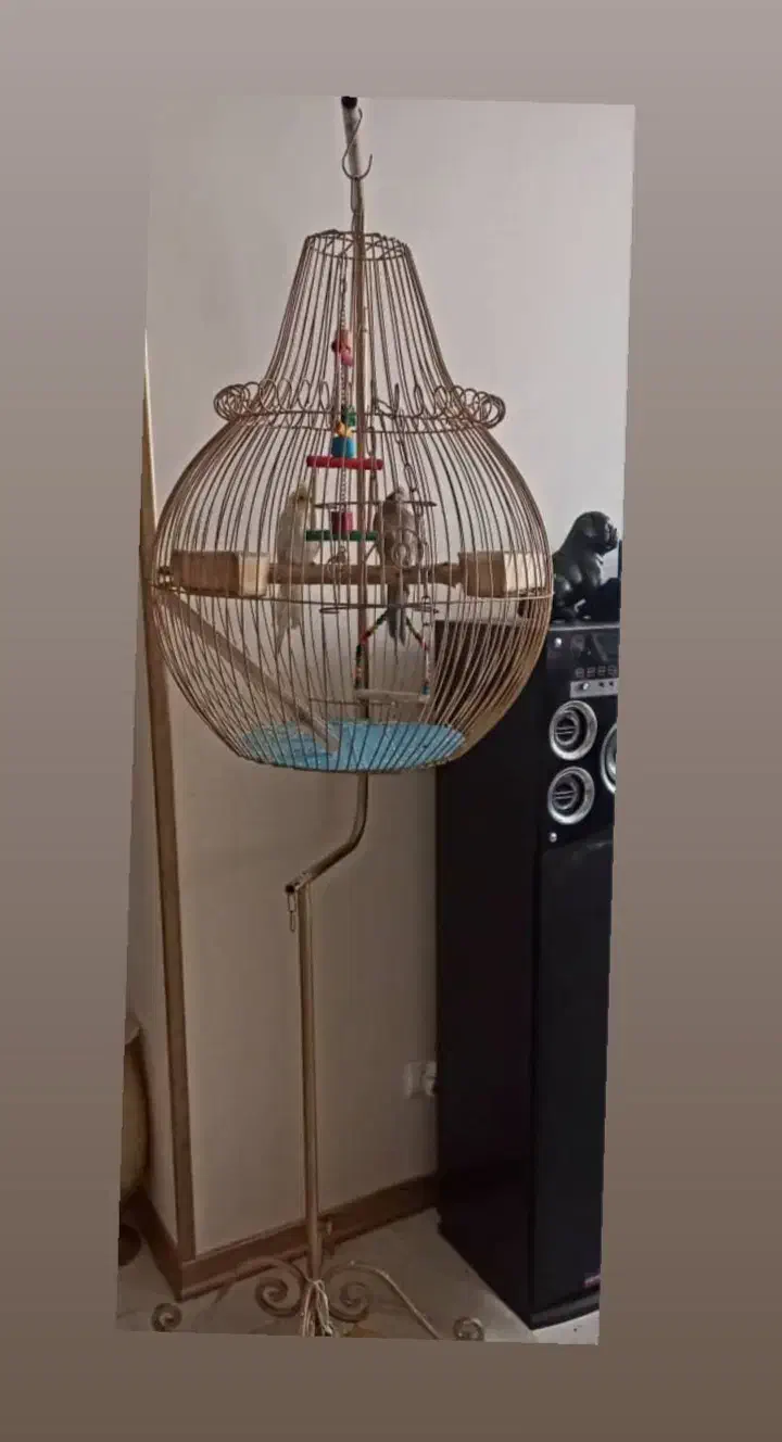 قفس پرنده|لوازم جانبی حیوانات|پردیس, فاز ۲|دیوار